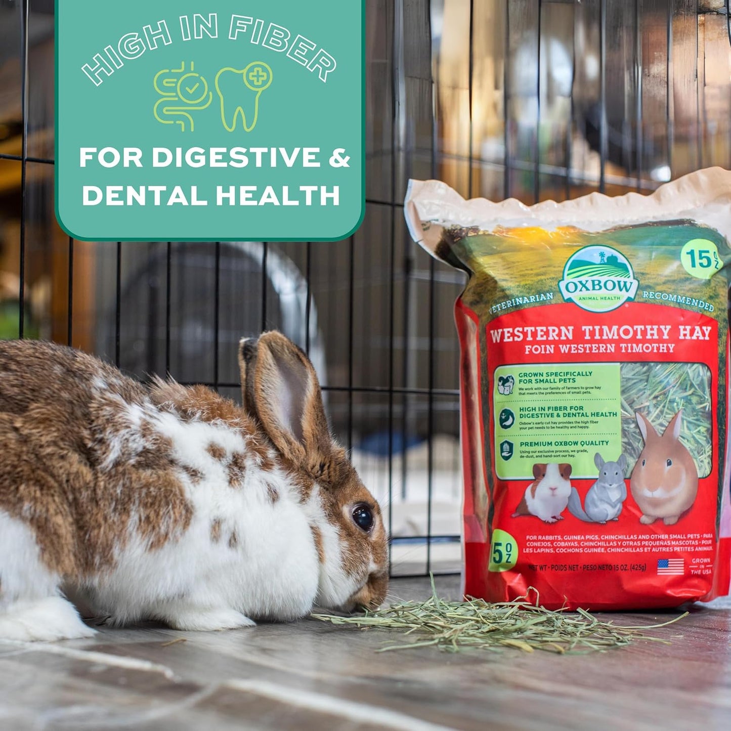 Western Timothy Hay for Small Pets - All-Natural Grass for Guinea Pigs, Bunnies, Chinchillas, and Hamsters - 9 lb Box
