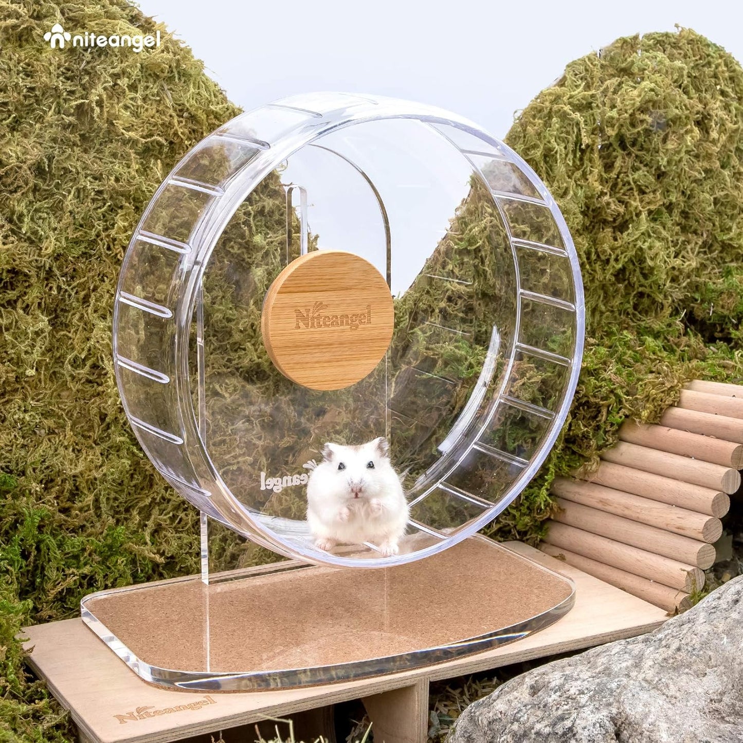 Premium Silent Hamster Exercise Wheel: Adjustable Stand for Small Animals (S, Transparent)