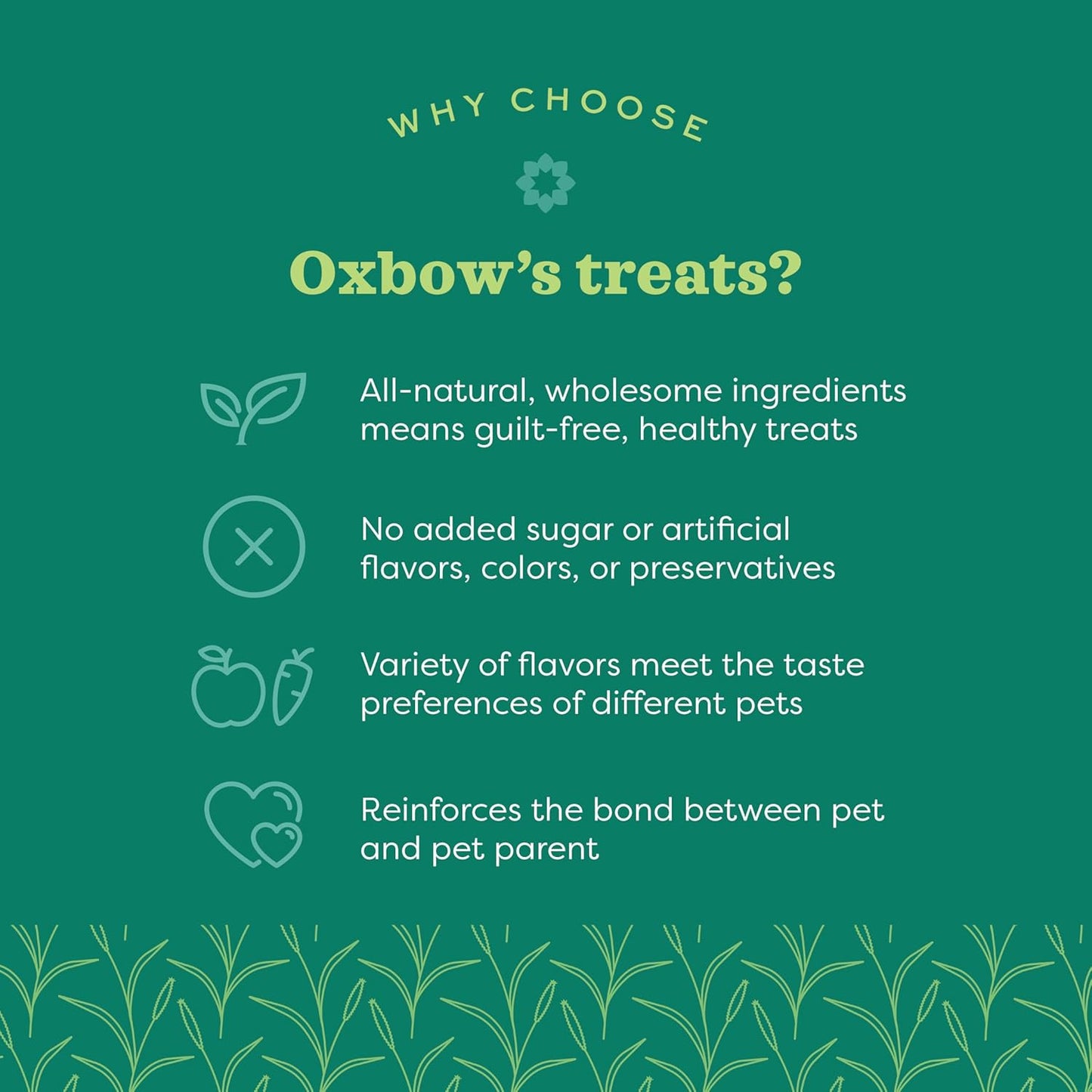 Organic Barley Biscuit Treats for Guinea Pigs and Rabbits - Carrot and Apple Flavor, 2.65 Oz Bag