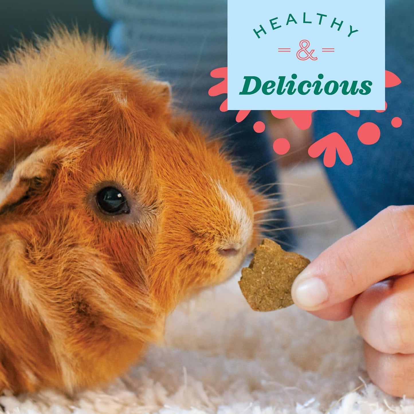 Organic Barley Biscuit Treats for Guinea Pigs and Rabbits - Carrot and Apple Flavor, 2.65 Oz Bag
