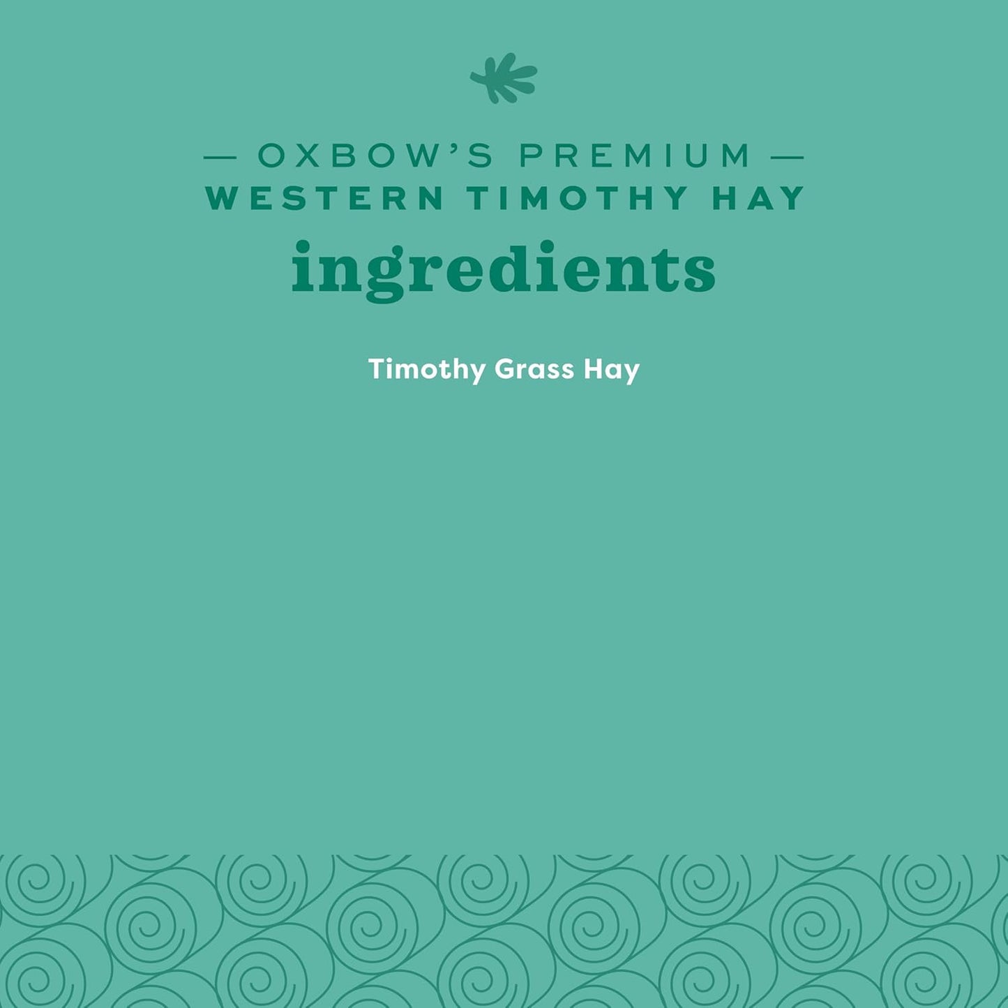 Western Timothy Hay for Small Pets - All-Natural Grass for Guinea Pigs, Bunnies, Chinchillas, and Hamsters - 9 lb Box