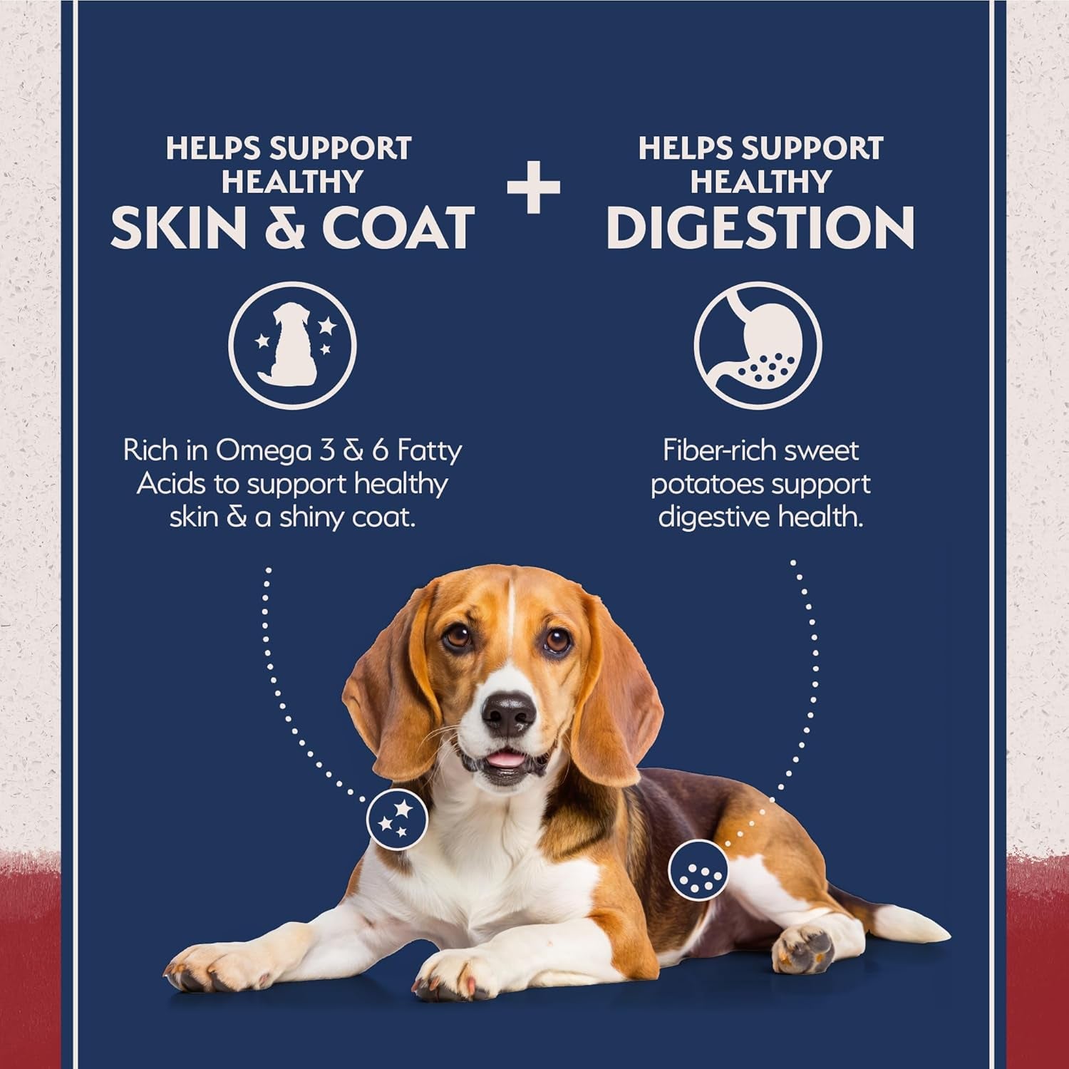 Limited Ingredient Grain-Free Dry Dog Food for Adults, Sweet Potato & Bision Recipe, 4 lb