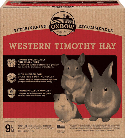 Western Timothy Hay for Small Pets - All-Natural Grass for Guinea Pigs, Bunnies, Chinchillas, and Hamsters - 9 lb Box