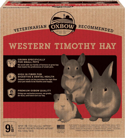 Western Timothy Hay for Small Pets - All-Natural Grass for Guinea Pigs, Bunnies, Chinchillas, and Hamsters - 9 lb Box