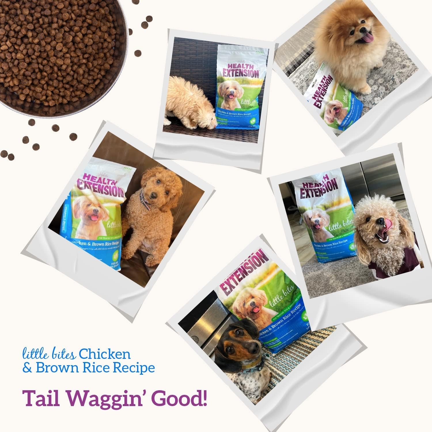 Little Bites Dry Dog Food for Small Breeds, Chicken & Brown Rice Recipe with Probiotics and Superfoods for Digestive and Coat Health, 4 lb Bag