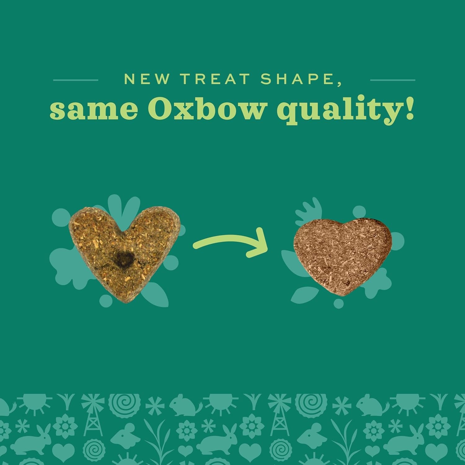 Organic Barley Biscuit Treats for Guinea Pigs and Rabbits - Carrot and Apple Flavor, 2.65 Oz Bag
