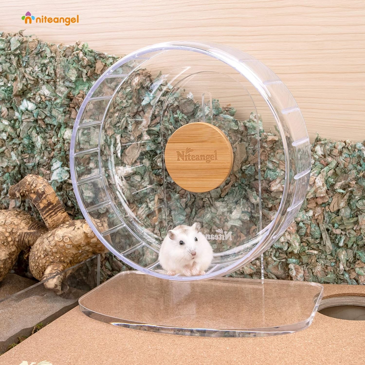 Premium Silent Hamster Exercise Wheel: Adjustable Stand for Small Animals (S, Transparent)