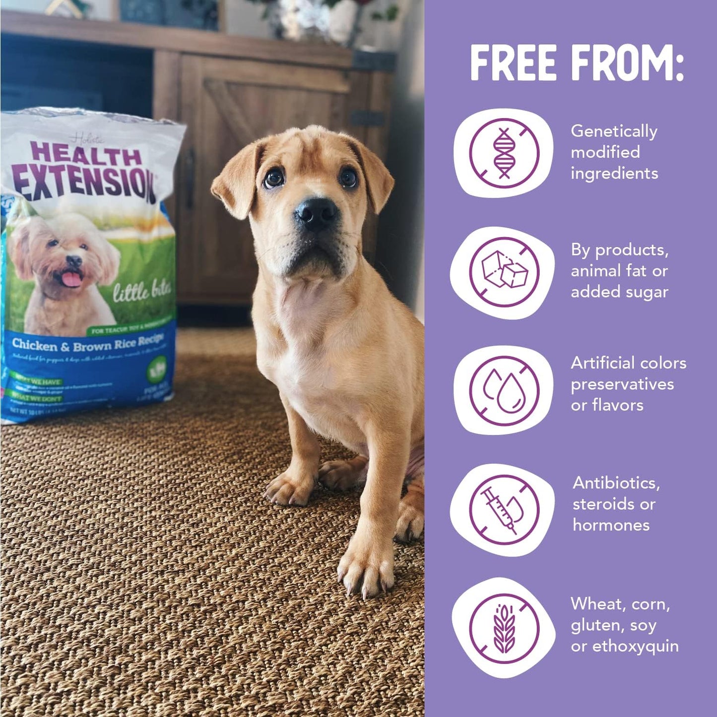 Little Bites Dry Dog Food for Small Breeds, Chicken & Brown Rice Recipe with Probiotics and Superfoods for Digestive and Coat Health, 4 lb Bag