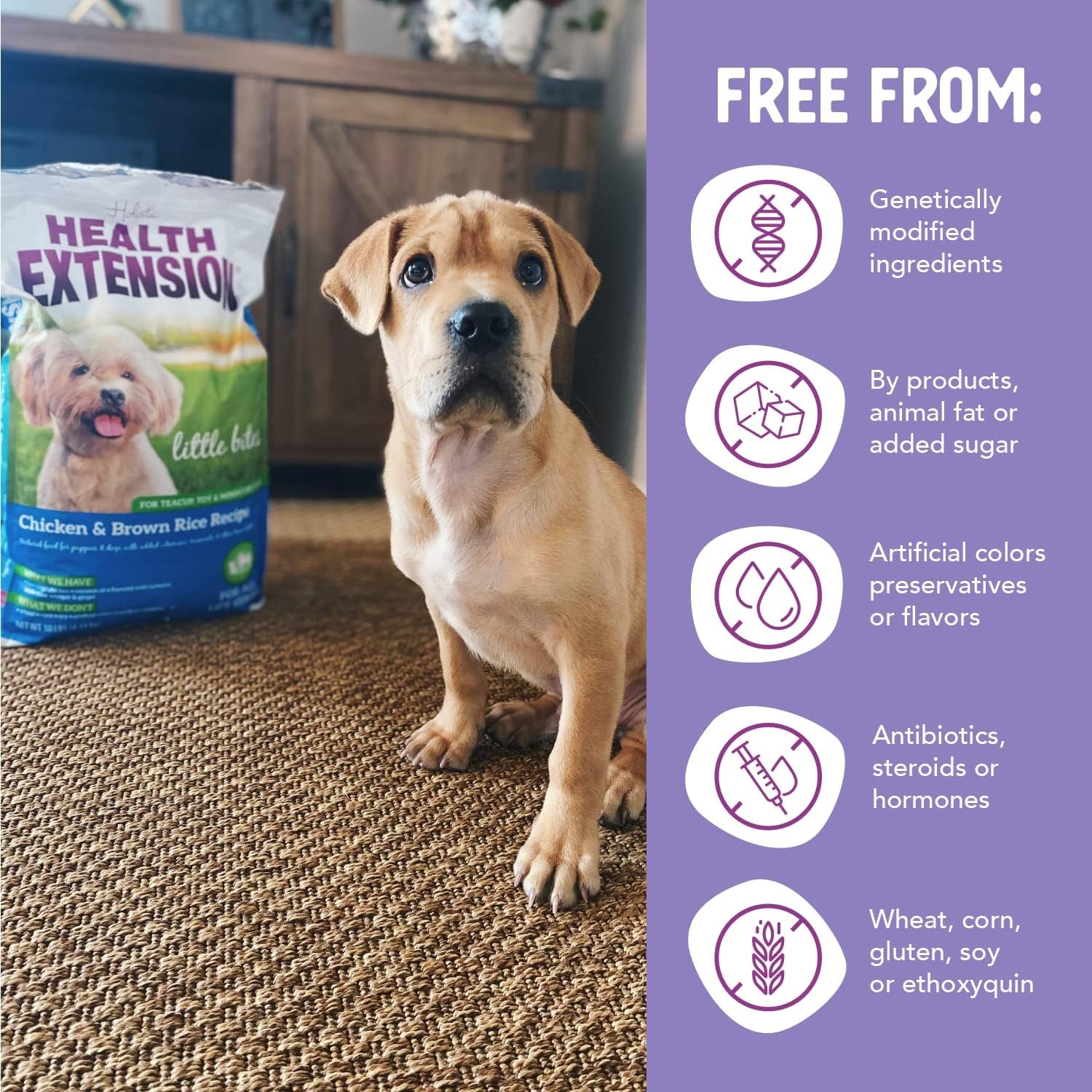 Little Bites Dry Dog Food for Small Breeds, Chicken & Brown Rice Recipe with Probiotics and Superfoods for Digestive and Coat Health, 4 lb Bag