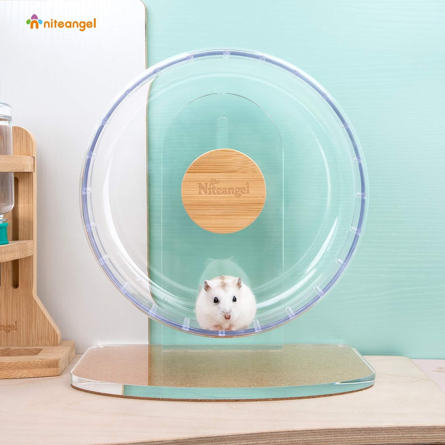 Premium Silent Hamster Exercise Wheel: Adjustable Stand for Small Animals (S, Transparent)