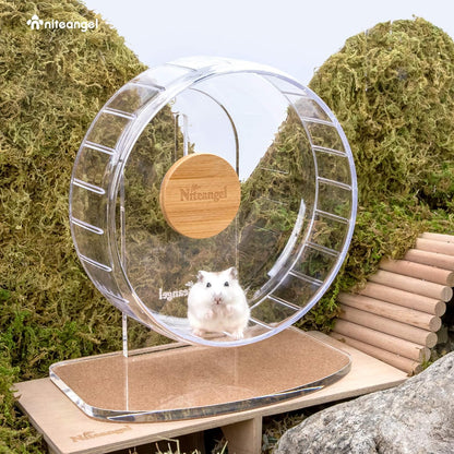Premium Silent Hamster Exercise Wheel: Adjustable Stand for Small Animals (S, Transparent)