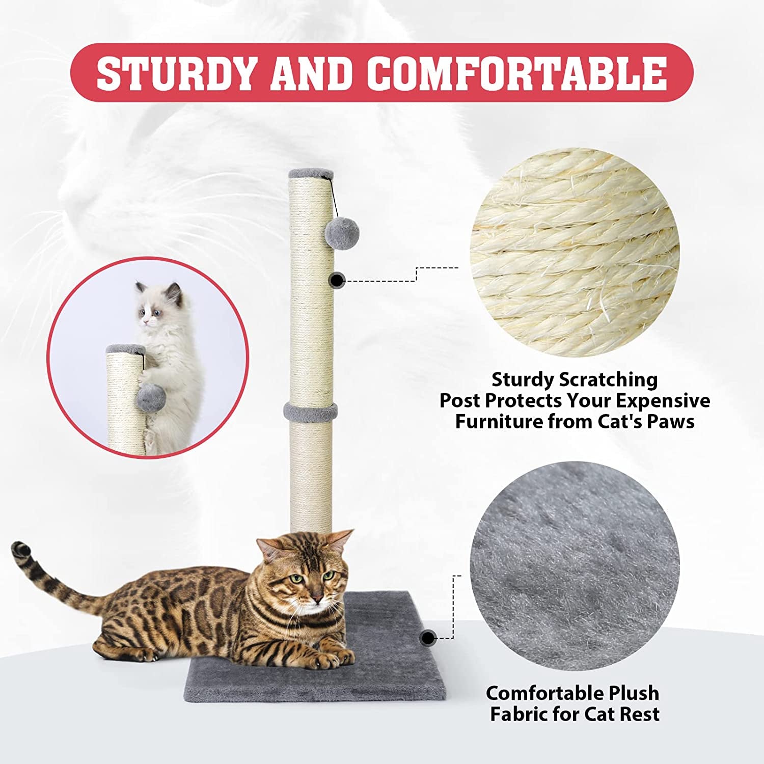 31-Inch Tall Cat Scratching Post with Hanging Ball - Durable Indoor Scratcher for Large Cats - Stable Cat Furniture with Sisal Rope - Grey
