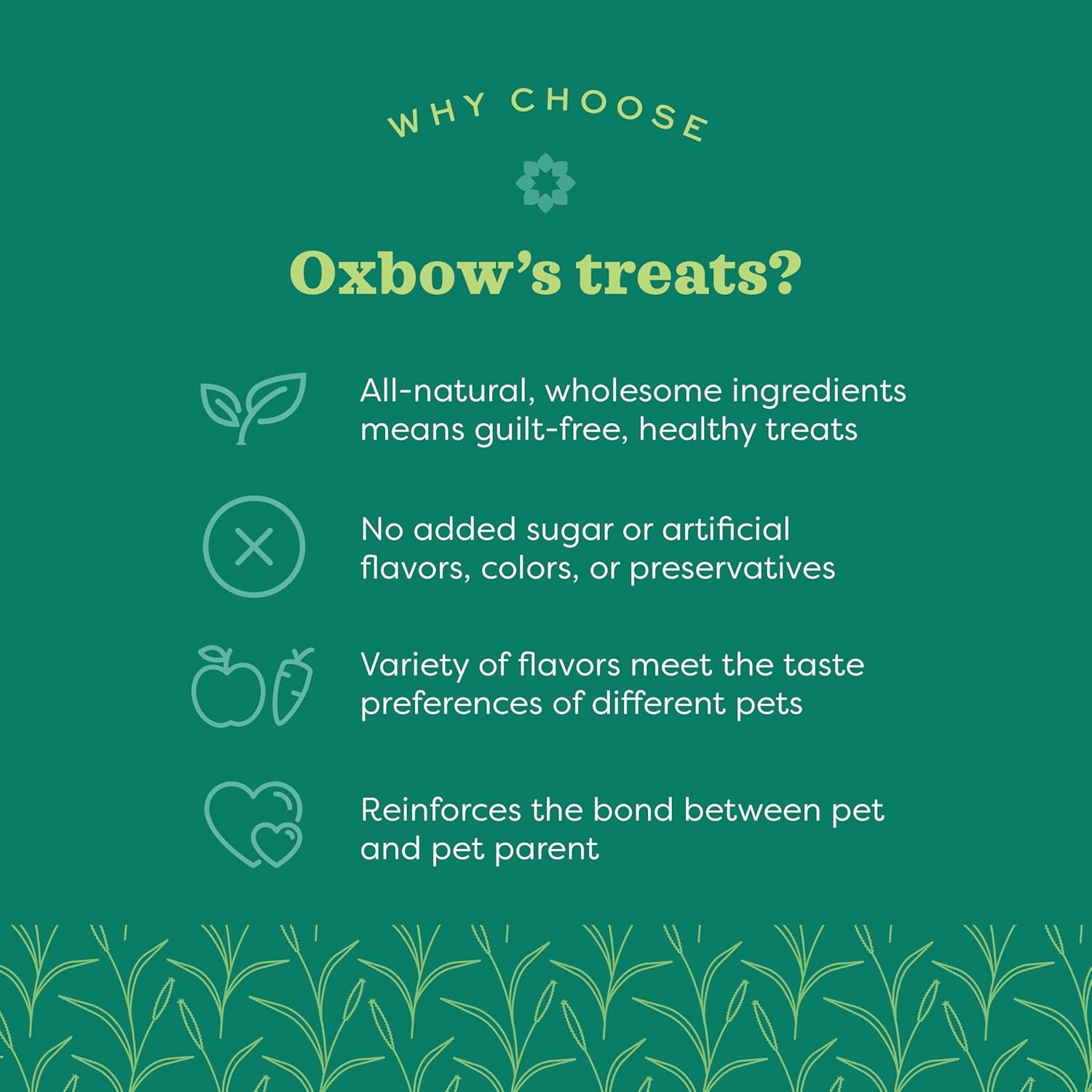 Organic Barley Biscuit Treats for Guinea Pigs and Rabbits - Carrot and Apple Flavor, 2.65 Oz Bag