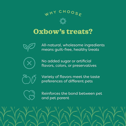 Organic Barley Biscuit Treats for Guinea Pigs and Rabbits - Carrot and Apple Flavor, 2.65 Oz Bag