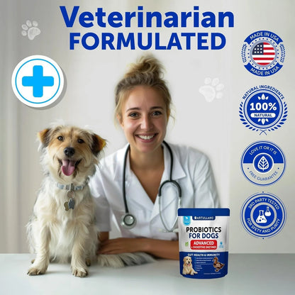 Dog Probiotics Duck Flavor Probiotics for Dogs Gut Health Itchy Skin Allergies & Immunity Support Yeast Balance Dog Probiotic 70 Chews with Prebiotics Dog Probiotics and Digestive Enzymes Reduce Diarrhea