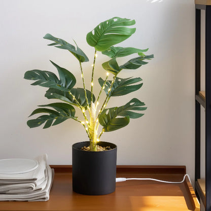 Simulation Monstera with Fairy Light