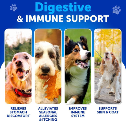 Dog Probiotics Duck Flavor Probiotics for Dogs Gut Health Itchy Skin Allergies & Immunity Support Yeast Balance Dog Probiotic 70 Chews with Prebiotics Dog Probiotics and Digestive Enzymes Reduce Diarrhea