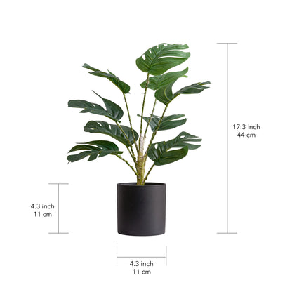 Simulation Monstera with Fairy Light