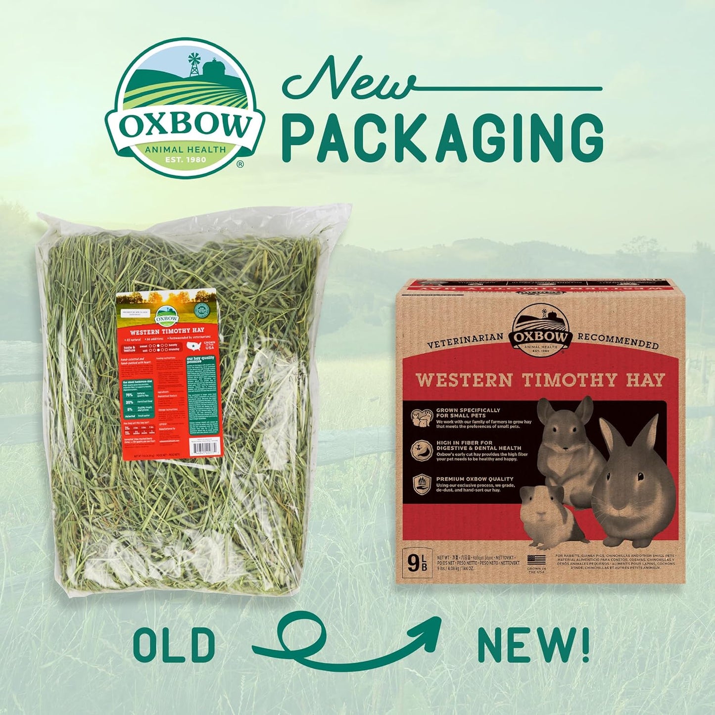 Western Timothy Hay for Small Pets - All-Natural Grass for Guinea Pigs, Bunnies, Chinchillas, and Hamsters - 9 lb Box