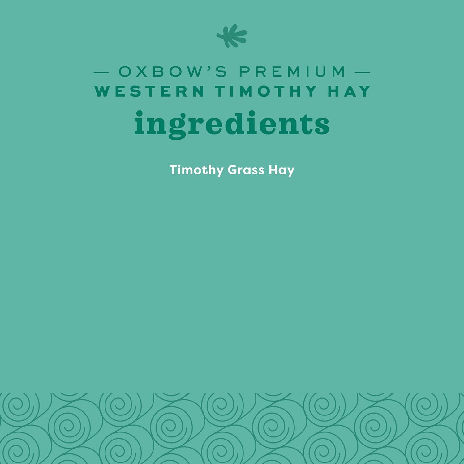 Western Timothy Hay for Small Pets - All-Natural Grass for Guinea Pigs, Bunnies, Chinchillas, and Hamsters - 9 lb Box