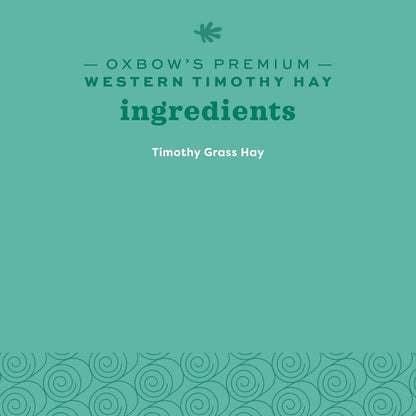 Western Timothy Hay for Small Pets - All-Natural Grass for Guinea Pigs, Bunnies, Chinchillas, and Hamsters - 9 lb Box