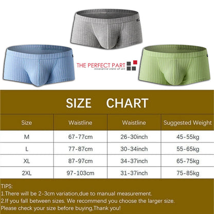Men'S Sexy Underwear Low Waist Briefs U Pouch Boxers Striped Shorts Underpants